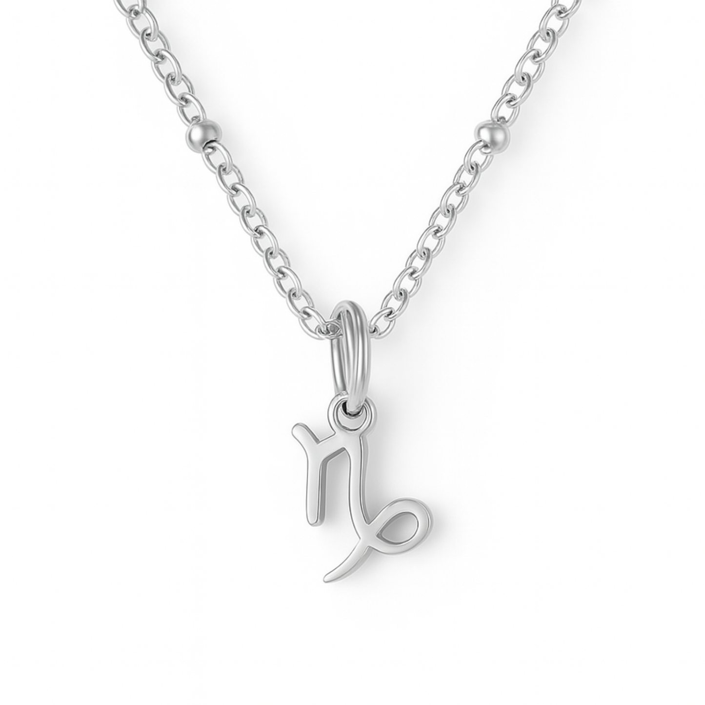Capricorn necklace silver zodiac symbol pendant on silver chain by Moon Sutras